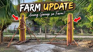 Anong Ganap sa Farm? A New Gate Posts are Finally Taking Shape