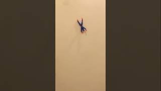 Download Lagu Ooooo yaah🕺 #remix #dj #housemusic #edit #cover #techno #roblox #coversong #anime #football MP3