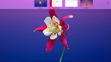 JPG to PNG Image Converter