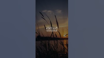 فذِكر ... سورة طه #quran #quraniclight #reels #tiktok #Youtube