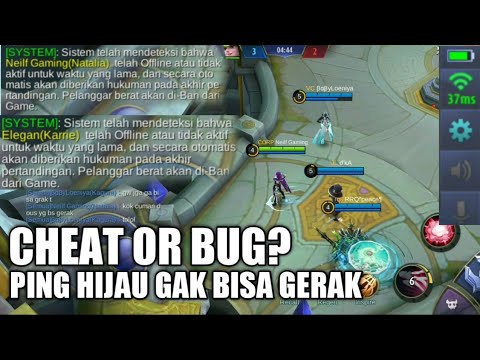 CHEAT OR BUG? SEMUA TIDAK BISA GERAK!