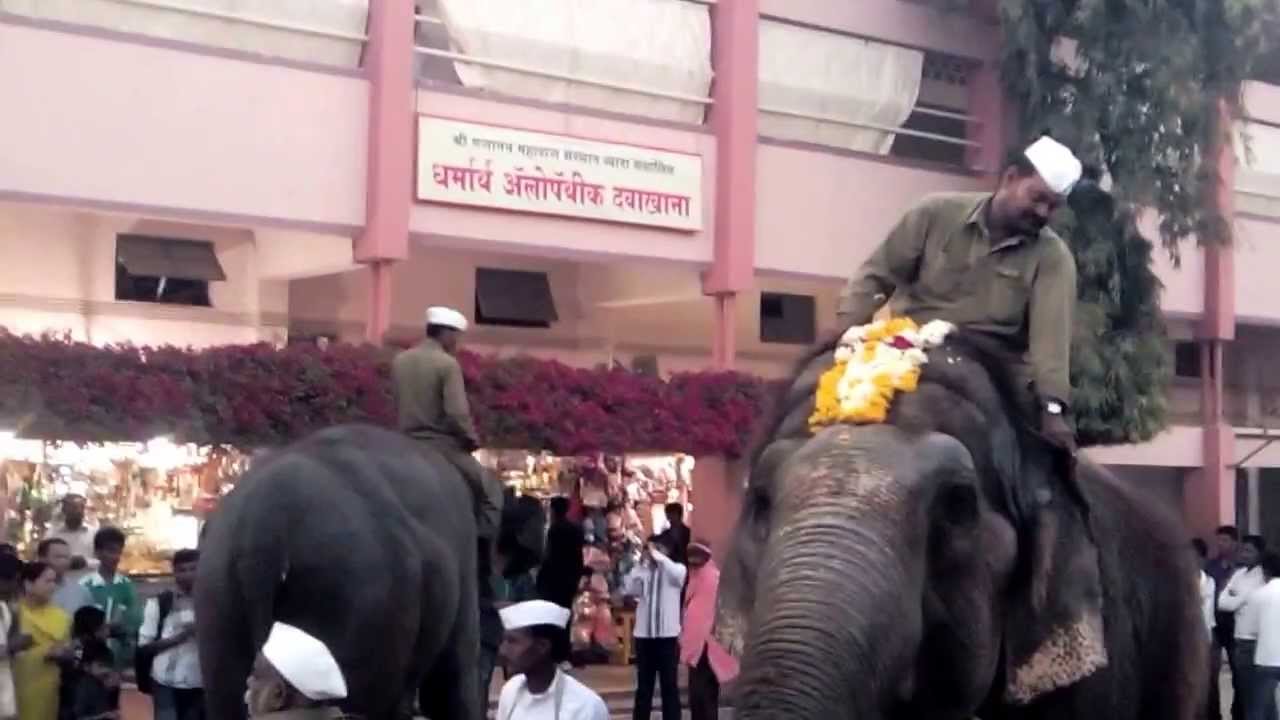 Elephants at Shegaon Temple