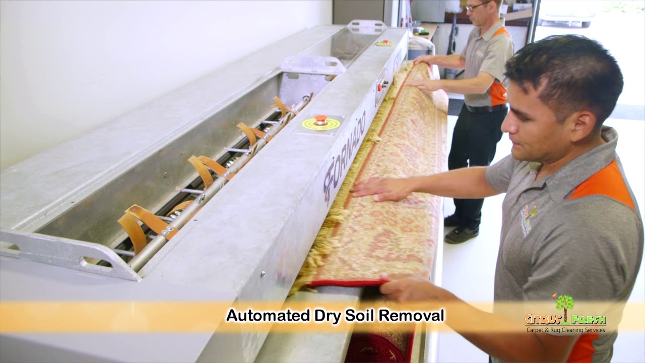 Citrus Fresh Carpet & Rug Cleaning Services YouTube