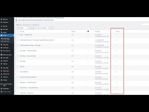 Hướng dẫn Code đếm lược xem bài viết – Post Views Counter trong WordPress Tutorial