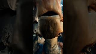 POV: Here comes a dragon-sized smooch 😘 🐉 #dragons #midjourney #aianimation #funny