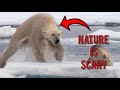 NATURE IS SCARY | Scary Moments In Nature Compilation