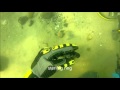 Underwater Metal Detecting a Vintage Swim Beach