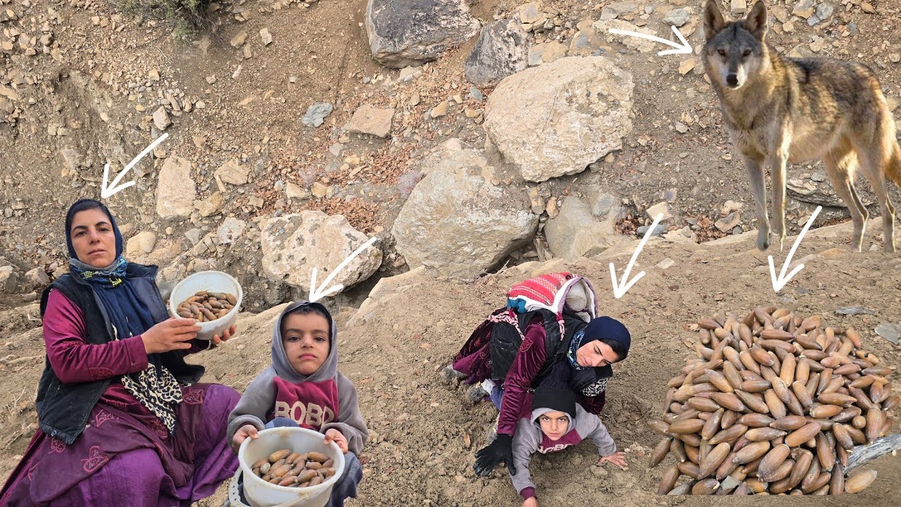 Esmat and Sohrab's Exciting Journey to Collect Acorns 🌰🏞️