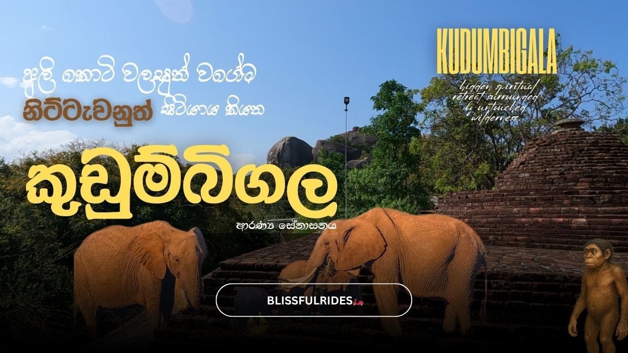 රහත් හිමිවරුන් දැනටත් වැඩඉන්නවා යයි පැවසන කුඩුම්බිගල | Exploring Kudumbigala Monastery in the Wild🇱🇰