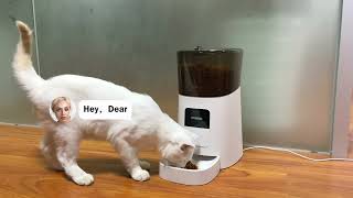 Wi-Fi Automatic Pet Feeder with Voice Recording & Dual Power for Effortless Pet Feeding