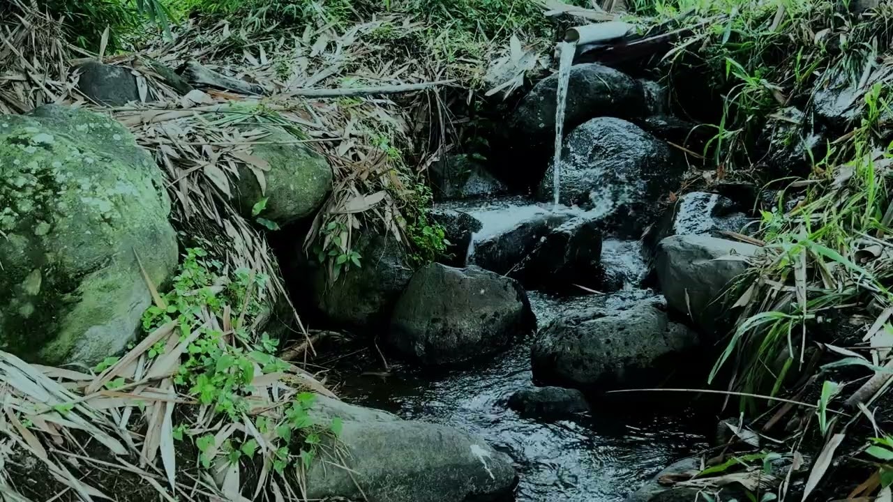SONIDO de AGUA BROTANDO del MANANTIAL 💧 Agua Tranquila Fluyendo para Dormir y Relajarse