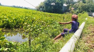 Fishing Video Amazing Village Girl Fishing Rainy Season Using Bamboo Hook Best Incredible Fish Video