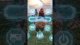 sistem otak ayam: tidur makan eek