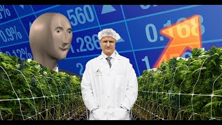 The Rise and Fall of Tilray | In Under 3 Minutes