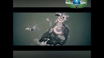 سورة الحج بصوت مؤثر وجميل .. للشيخ ادريس ابكر القرآن الكريم دوت نت قناة عبدالله ومبارك