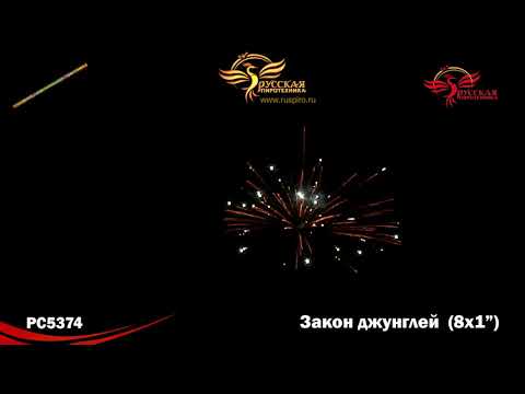 Смотреть фото РС5374: Закон джунглей. новости россия москва Смотреть фото РС5374: Закон джунглей. новости россия москва