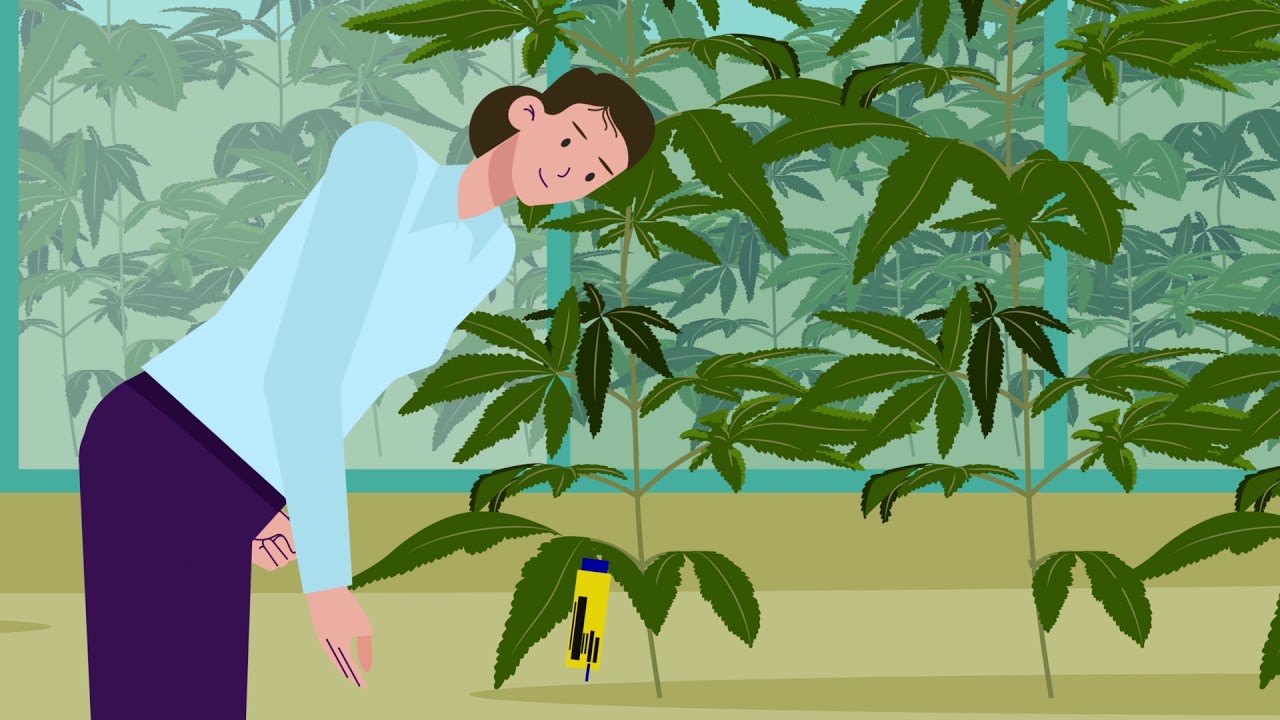 METRC: Supporting the will to regulate