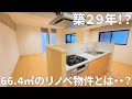 【ペット可リノベ物件】カップル＆新婚さん必見！このキッチンは料理したくなる・・#shorts