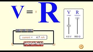 Physics Lab #6 Adopt a Simulation