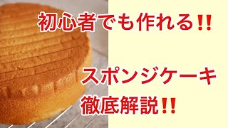 【初心者向け】スポンジケーキの作り方徹底解説！