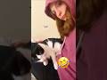 why are cats like this 😭 #funny #hilarious