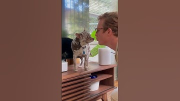 Sonos makes housework feel like play