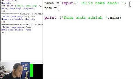 Input User Saat Runtime di Python