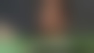 Ari Shaffir | Getting Doug with High