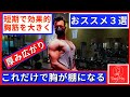 ３種目で大胸筋が棚になる【胸筋トレーニング】【胸トレ】