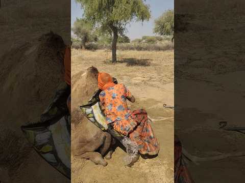 أم ير ة س ه ر او ي ة ت ت ق اس م ب ر د ال م اء م ع ج م ل ه ا