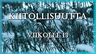 Kiitollisuutta Viikolle 13