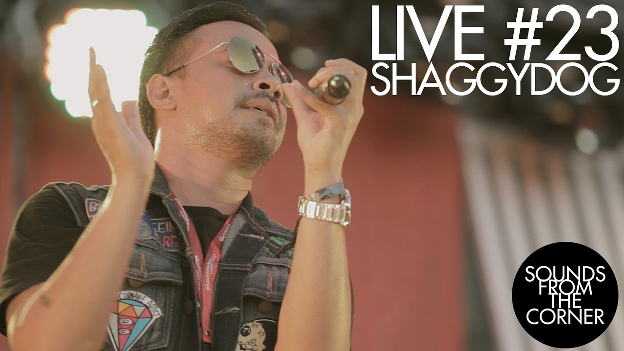 Sounds From The Corner : Live #23 Shaggydog