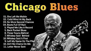 Relaxing Blues Guitar Playlist | Chicago Night Mood