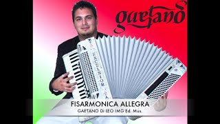 Video thumbnail of "Fisarmonica allegra tarantella"