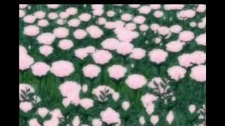 Flowerface~ Back to you ♡slowed♡
