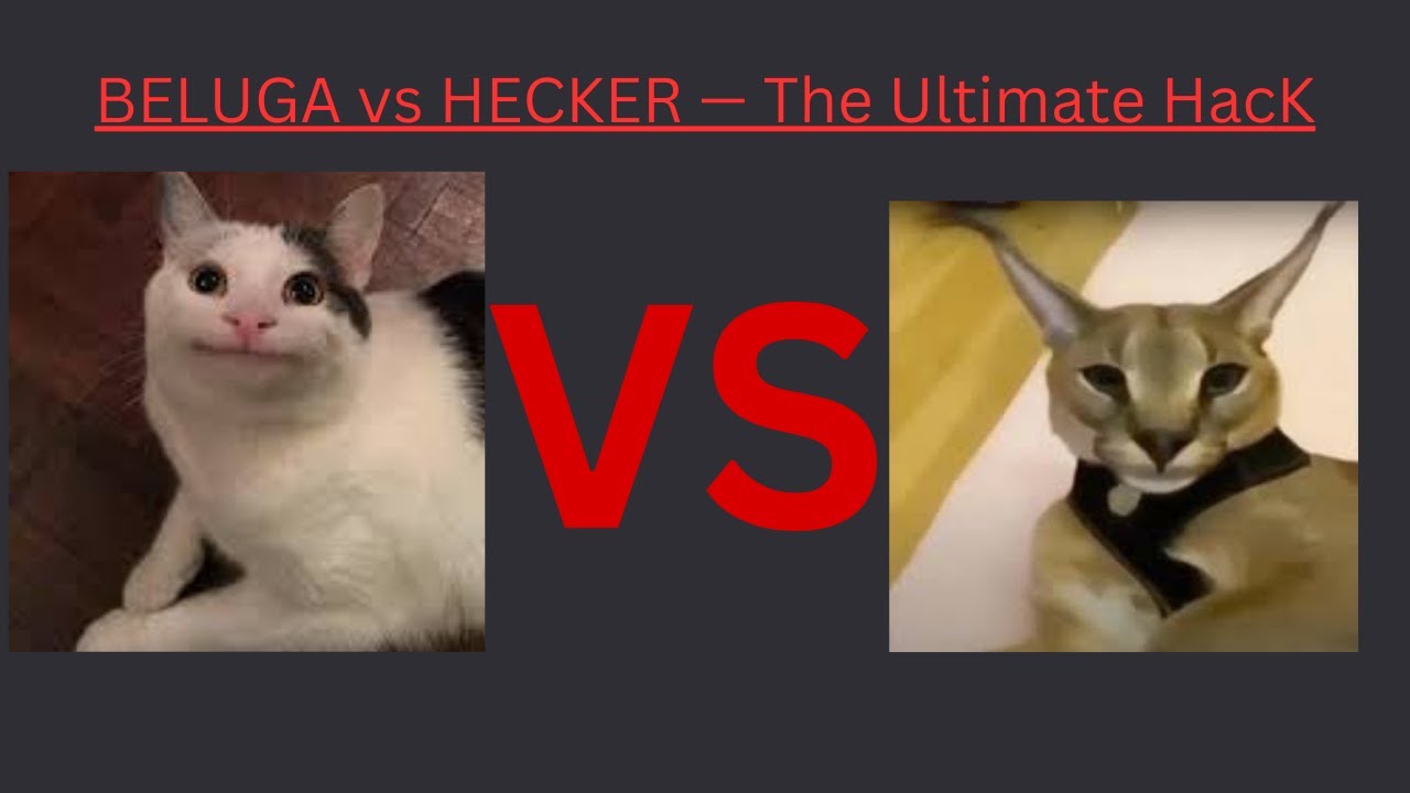 BELUGA vs HECKER — The Ultimate Hack Battle | You Won't Believe The Ending