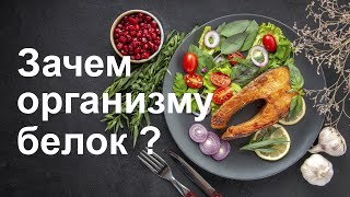 Зачем организму белок? Здоровое питание. Правильное питание. Функции белка. Как быть здоровым.