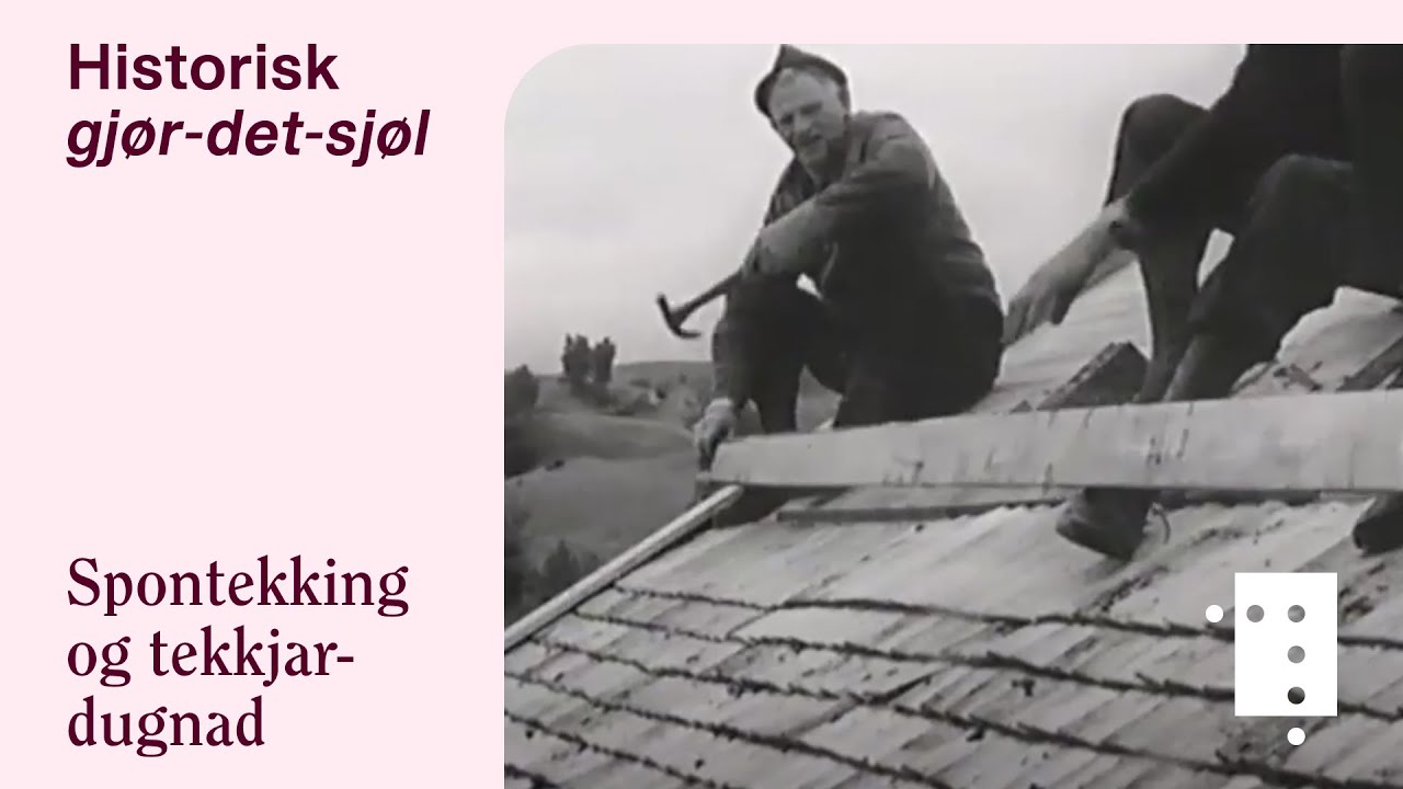 Spontekking og tekkjardugnad