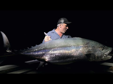 Miniature de la vidéo : Un énorme THON à DENTS DE CHIEN en Tanzanie - Cyril Chauquet