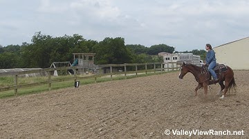 Samurai Jack - bridleless working the flag! - ValleyViewRanch.net