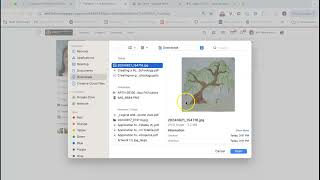 Creating a Portfolio in Schoology