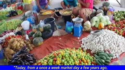 Community Based Forest and Mangrove Management Project : Negros Oriental experience