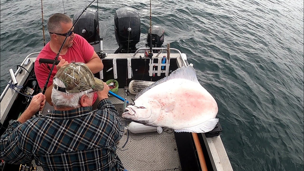Alaska Halibut Fishing // I Almost Lost My Rod and Reel YouTube