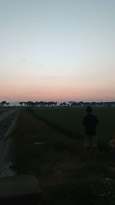 SENJA DI PESAWAHAN DESAKU#pedesaanindonesia