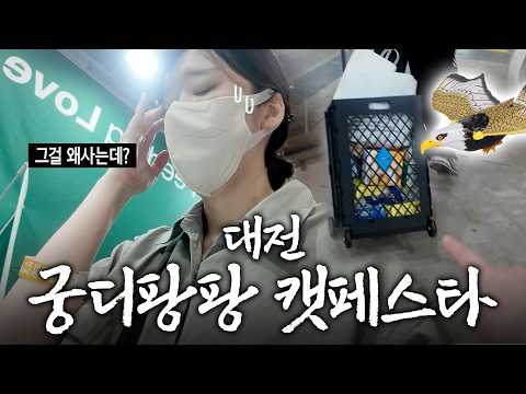 초보집사랑 궁디팡팡 캣페스타가면 생기는일...