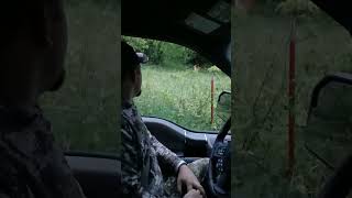 Tried asking, but got denied #turkeyseason #hunting #deer