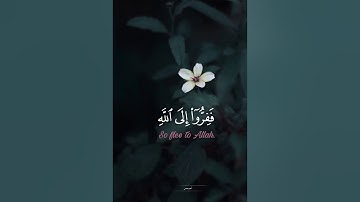 سورة الأنفال الشيخ ياسر سلامة Yasser Salama Surah Al-Anfal
