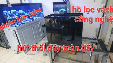 Hồ lọc vách công nghệ/ bản mini/ aquarium design vt/ bottom filter aquarium