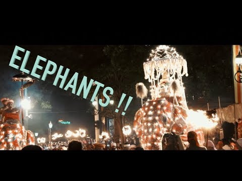 Video: Paano Gaganapin Ang Festival Of The Sacred Tooth Sa Sri Lanka