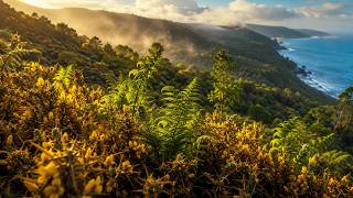 This Botanist Never Planted a Single Tree — What He Grew Instead Rewrote Conservation Science